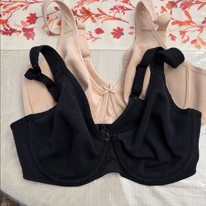 Fruit of the Loom Light Tan Apparel